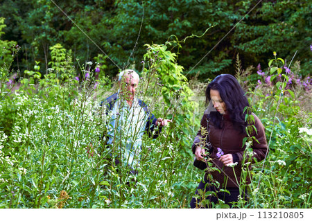 Hiking.A young woman, an elderly man are walking.Blooming spring thickets 113210805