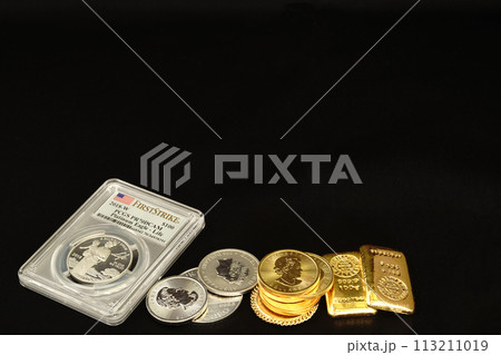 美しい輝きを放つ実物資産の金貨とプラチナ硬貨 113211019