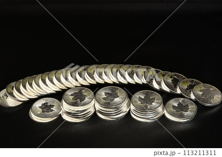 美しい輝きを放つ実物資産の銀貨が人気高騰です。 113211311