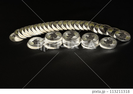 美しい輝きを放つ実物資産の銀貨が人気高騰です。 113211318