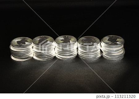 美しい輝きを放つ実物資産の銀貨が人気高騰です。 113211320