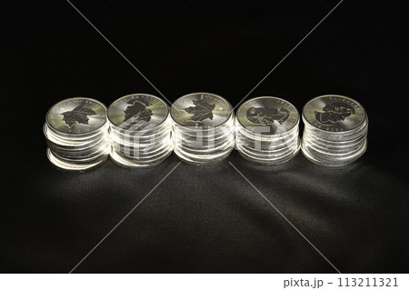 美しい輝きを放つ実物資産の銀貨が人気高騰です。 113211321