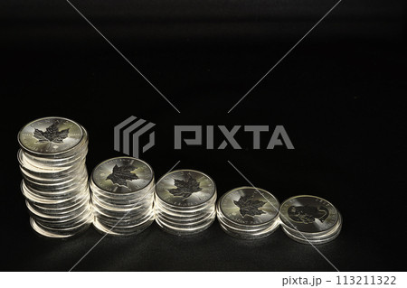 美しい輝きを放つ実物資産の銀貨が人気高騰です。 113211322