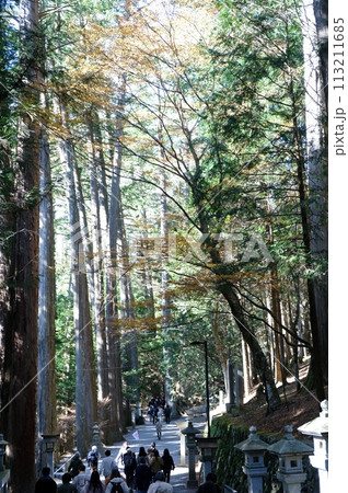 晩秋にもかかわらず参拝者の多い三峯神社 晩秋にもかかわらず参拝者の多い三峯神社 113211685
