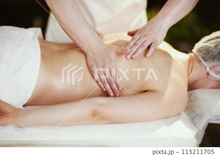 massage therapist in massage cabinet massaging client massage therapist in massage cabinet massaging client 113211705
