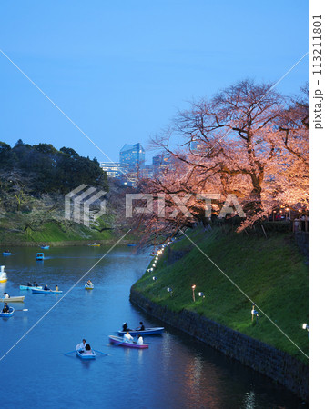 （東京都）千鳥ヶ淵の夜桜・ライトアップ 113211801