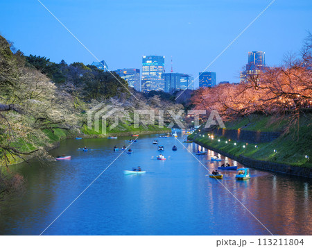 (東京都)千鳥ヶ淵の夜桜・ライトアップ (東京都)千鳥ヶ淵の夜桜・ライトアップ 113211804