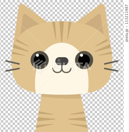 Cute hand drawn cats breed cartoon set brown tabby cat 113211987