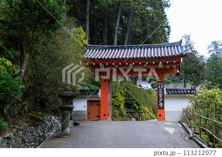 2024春　桜が咲き始めた京都宇治　三室戸寺　山門① 113212077