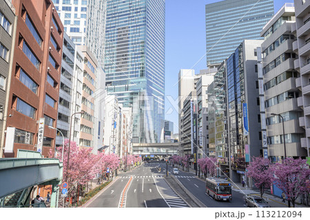 渋谷駅周辺　明治通り沿いの高層ビル群と満開の桜　東京都渋谷区 113212094