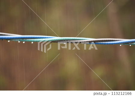雨に濡れる電線、雨の風景 113212166