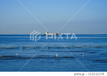 晴れ渡った朝の干潟 ふなばし三番瀬海浜公園(千葉県船橋市) 晴れ渡った朝の干潟 ふなばし三番瀬海浜公園(千葉県船橋市) 113212176