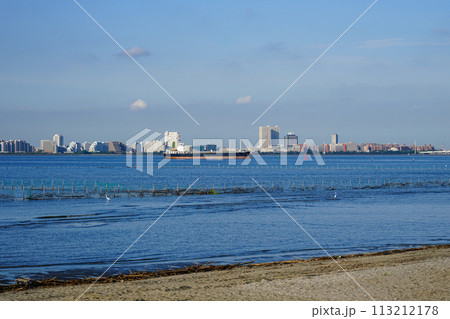 晴れ渡った朝の干潟　ふなばし三番瀬海浜公園（千葉県船橋市） 113212178