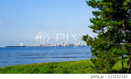 晴れ渡った朝の干潟 ふなばし三番瀬海浜公園(千葉県船橋市) 晴れ渡った朝の干潟 ふなばし三番瀬海浜公園(千葉県船橋市) 113212181