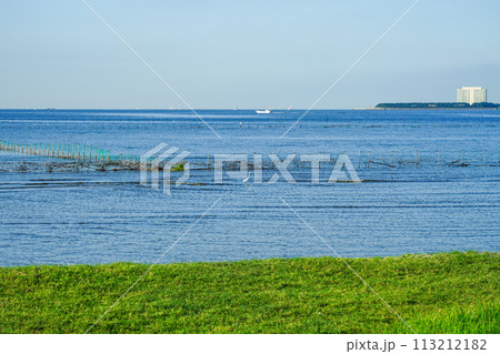 晴れ渡った朝の干潟 ふなばし三番瀬海浜公園(千葉県船橋市) 晴れ渡った朝の干潟 ふなばし三番瀬海浜公園(千葉県船橋市) 113212182