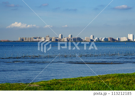 晴れ渡った朝の干潟 ふなばし三番瀬海浜公園(千葉県船橋市) 晴れ渡った朝の干潟 ふなばし三番瀬海浜公園(千葉県船橋市) 113212185