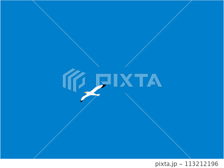 青空に一羽飛ぶカモメのイラスト 113212196