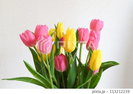 チューリップの花束 チューリップの花束 113212239