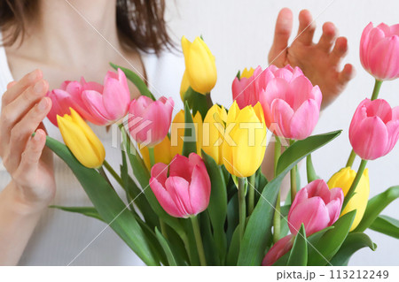 チューリップと女性 ふるさと納税 チューリップと女性 ふるさと納税 113212249