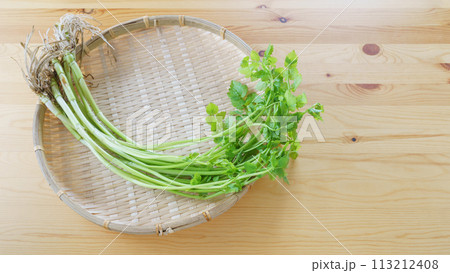 根がついている芹(セリ) 113212408