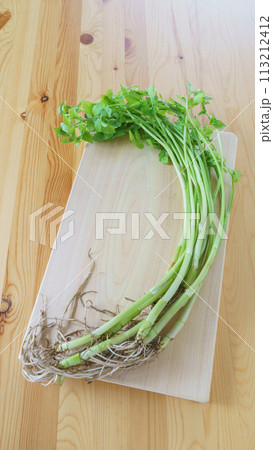 根がついている芹(セリ) 113212412