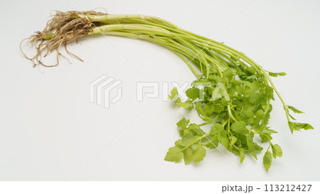根がついている芹(セリ) 113212427