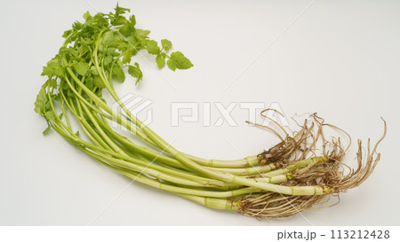 根がついている芹(セリ) 113212428
