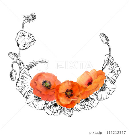 Hand drawn watercolor botanical illustration flowers leaves. Red poppy papaver, stems buds seedpods. Wreath frame isolated on white background. Design wedding, love cards, remembrance day stationery Hand drawn watercolor botanical illustration flowers leaves. Red poppy papaver, stems buds seedpods. Wreath frame isolated on white background. Design wedding, love cards, remembrance day stationery 113212557