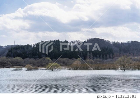 早春の国営みちのく湖畔公園からみた釜房ダム　水没林　宮城県川崎町 113212593