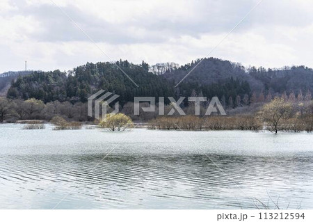 早春の国営みちのく湖畔公園からみた釜房ダム　水没林　宮城県川崎町 113212594
