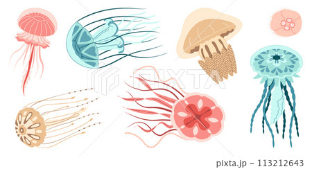 Jellyfish trendy flat style vector set.  113212643