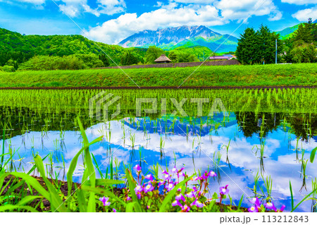 新緑の田園風景_茅葺小屋と水田に映る逆さ大山 新緑の田園風景_茅葺小屋と水田に映る逆さ大山 113212843