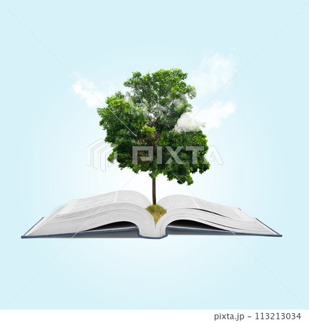 Open a book with a growing tree 113213034