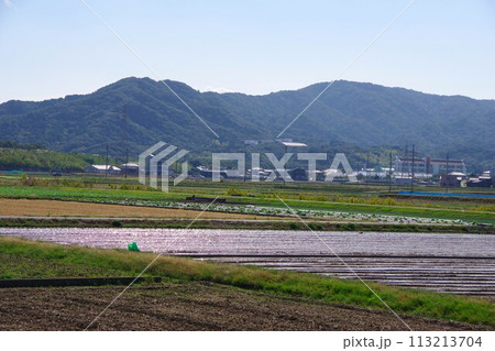 兵庫県南あわじ市 三原平野 志知小学校付近の風景 兵庫県南あわじ市 三原平野 志知小学校付近の風景 113213704
