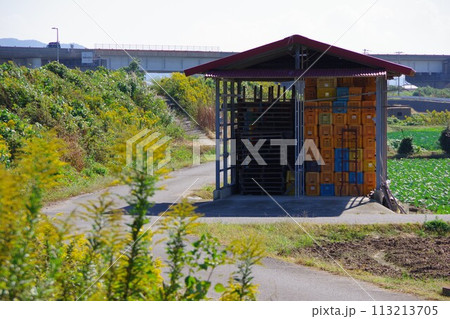 たまねぎ小屋 113213705