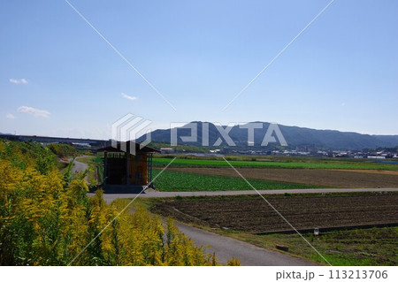 兵庫県南あわじ市　三原平野　志知小学校周辺を望む　 113213706