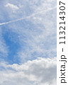 青空と白い雲　コピースペース 113214307