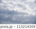 雲の多い空 113214309