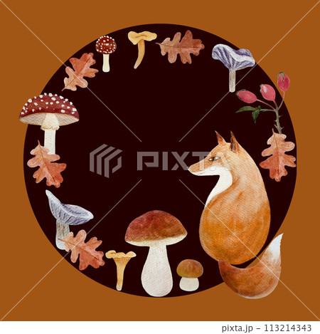 Fox in a oak leaf round frame watercolor flat illustration isolated on white Fox in a oak leaf round frame watercolor flat illustration isolated on white 113214343