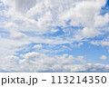 雲の多い青空 113214350