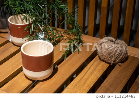 アンティークガーデンのテーブルに置かれたカップ アンティークガーデンのテーブルに置かれたカップ 113214465