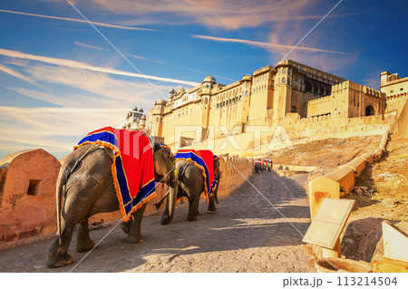 Indian elephant riders in Amber Fort, famous tourist attraction, Jaipur, India 113214504