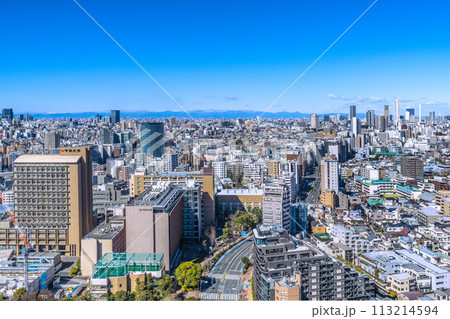 日本の東京都市景観 山々が見える珍景…青空が広がる池袋副都心や池袋のサンシャイン60などを望む 113214594