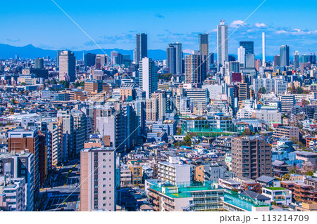 日本の東京都市景観 山々が見える珍景…青空が広がる池袋副都心や池袋のサンシャイン60などを望む 日本の東京都市景観 山々が見える珍景…青空が広がる池袋副都心や池袋のサンシャイン60などを望む 113214709