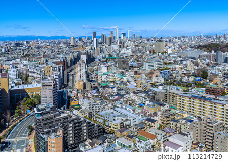 日本の東京都市景観 山々が見える珍景…青空が広がる池袋副都心や池袋のサンシャイン60などを望む 113214729