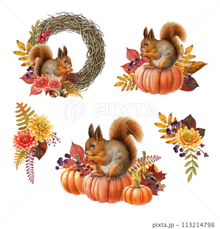 Thanksgiving decor elements with red squirrel. Vintage style watercolor illustration. Hand drawn Thanksgiving festive floral decoration with pumpkins, autumn leaves and berries. White background Thanksgiving decor elements with red squirrel. Vintage style watercolor illustration. Hand drawn Thanksgiving festive floral decoration with pumpkins, autumn leaves and berries. White background 113214798