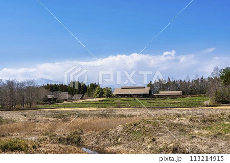 早春の国営みちのく湖畔公園　青空と段々畑　宮城県川崎町 113214915
