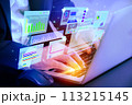 businessman working on laptop with dashboard data  113215145