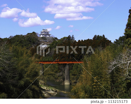 初春の夷隅川からみた大多喜城風景 113215173