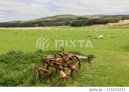 Aged rusted farm tool in the Scottish countryside amidst a green pasture dotted with sheep and hills Aged rusted farm tool in the Scottish countryside amidst a green pasture dotted with sheep and hills 113215251